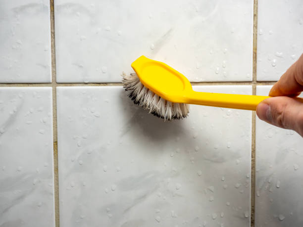 Best Mold Remediation for Schools in Cameron Park, TX