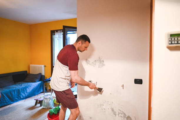 Best Attic Mold Remediation in Cameron Park, TX